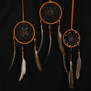 Friends United - Native Art - Canada - Nazanni Redbird DreamcatcherFriends United - Native Art - Canada - Nazanni Redbird Dreamcatcher