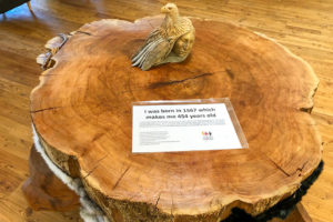 Friends United Not-for-Profit - Convention Center - Cape Breton Island - Kempt Road